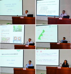 技術(shù)推廣服務(wù)中心 推動(dòng)技術(shù)創(chuàng)新與產(chǎn)業(yè)升級(jí)的重要平臺(tái)